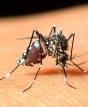 ^BATI NİL VİRÜSÜ